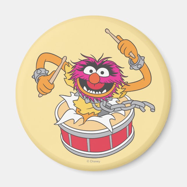 Animal Crashing Through Drums Magnet (Front)