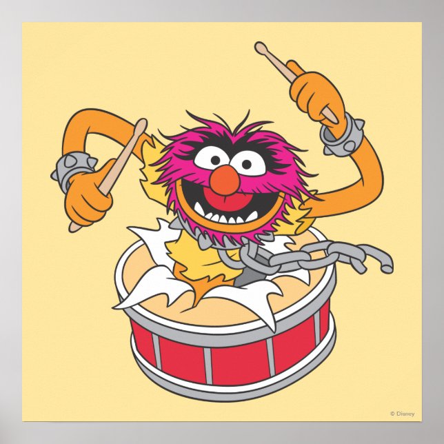 Animal Crashing Through Drums Poster (Front)