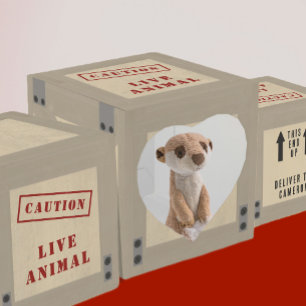 Animal Crate Zoo Jungle Birthday  Favor Boxes