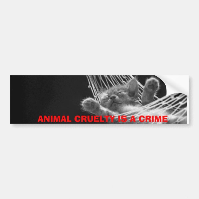 ANIMAL CRUELTY IS A CRIME BUMPER STICKER (Front)