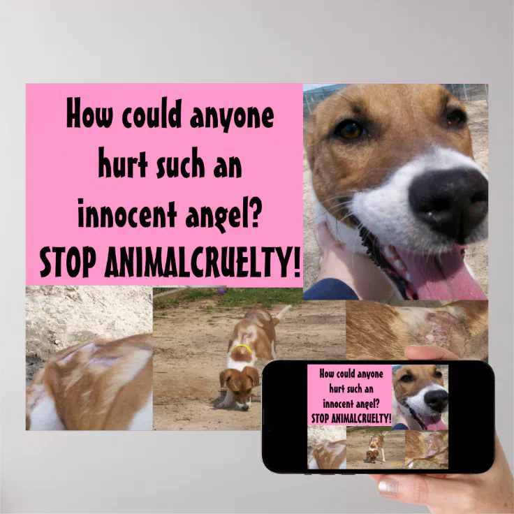 Animal Cruelty Poster | Zazzle