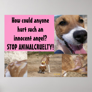 Dog Cruelty Posters & Prints | Zazzle