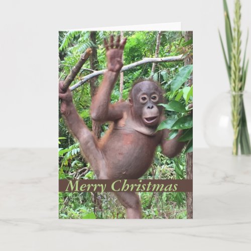 Animal Cute Merry Christmas Orangutan Baby Holiday Card