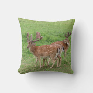 animal, deer, wildlife, forest, meadow, hunting, throw pillow