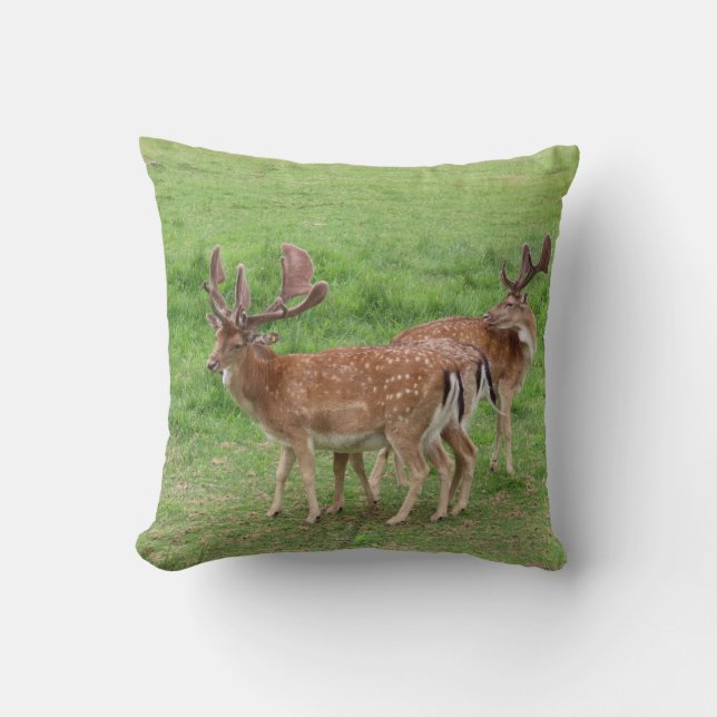 animal, deer, wildlife, forest, meadow, hunting, throw pillow (Front)