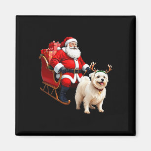 Animal Dog Lover Santa Sleigh Maltese Reindeer Chr Magnet