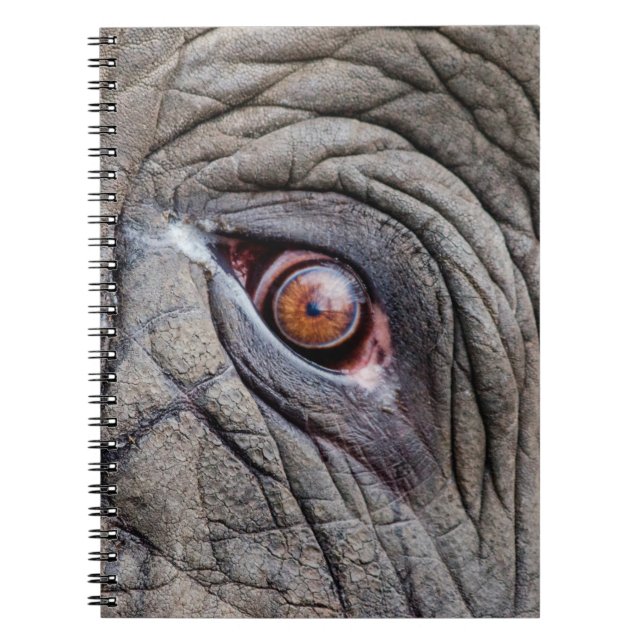 Animal elephant eye close up notebook (Front)
