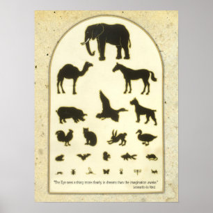 Animal Eye Chart ~ Leonardo da Vinci Quote