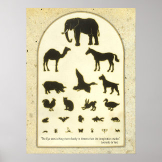Animal Eye Chart ~ Leonardo da Vinci Quote