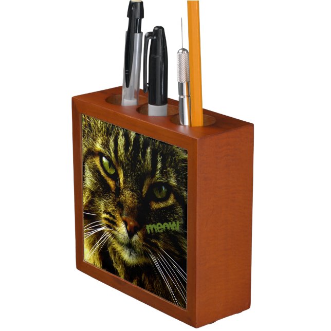 Animal Face Hypnotizing Cat Eyes Pencil/Pen Holder (In Situ)