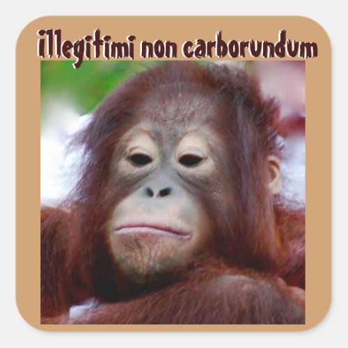 Animal Faces Illegitimi non carborundum Square Sticker