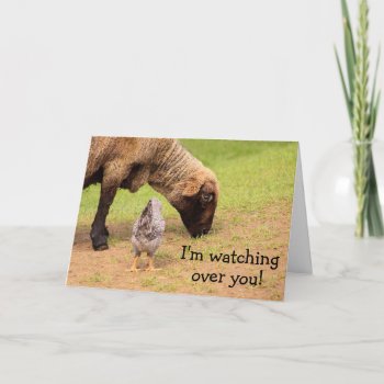 Animal Friends Cancer Concern Card by Therupieshop at Zazzle