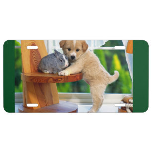 Animal Friends License Plate