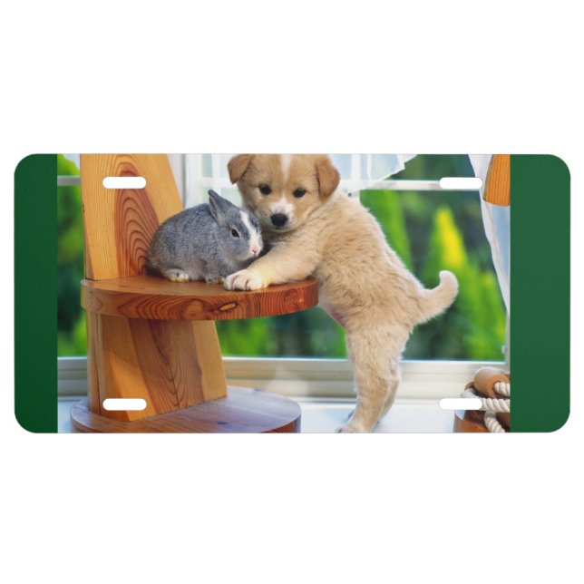 Animal Friends License Plate (Front)
