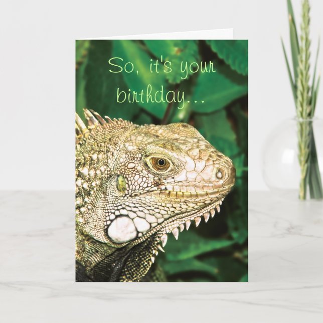 Animal funny birthday humor card (Front)