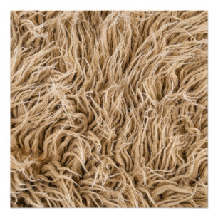 Animal fur poster
