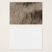 Animal fur texture (Front & Back)