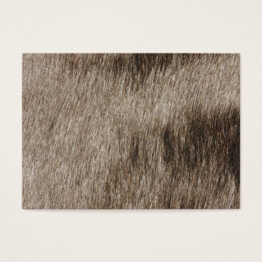 Animal fur texture (Front)