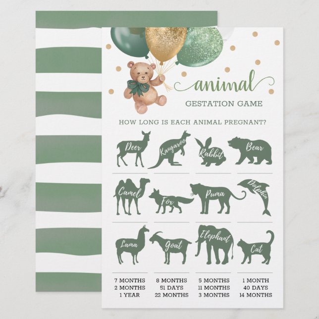 Animal Gestation Game Sage Green Teddy Bear (Front/Back)