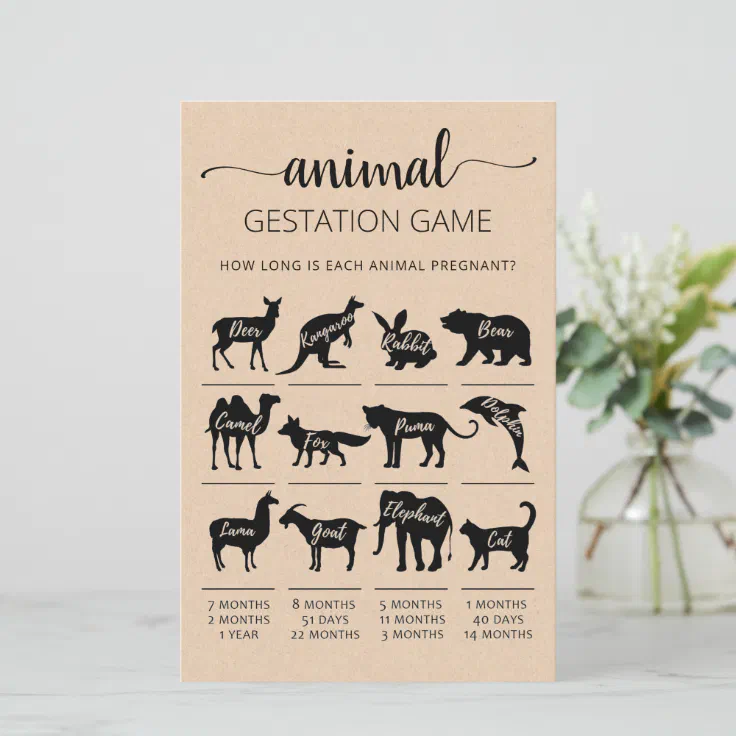 Animal Gestation with Answers Baby Shower Game Zazzle