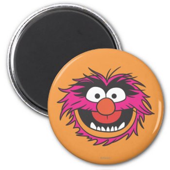 Animal Head Magnet by muppets at Zazzle