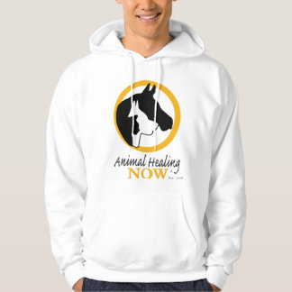 Animal Healing Now Men's Hooded Sweatshirt