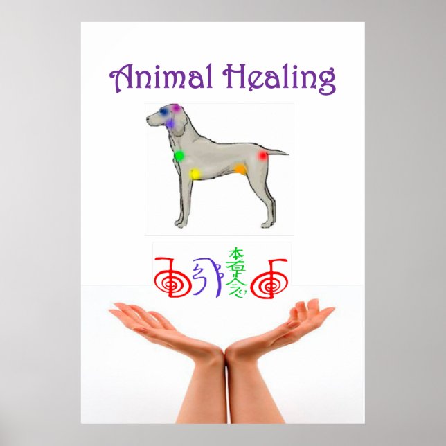 Animal Healing Poster (Front)