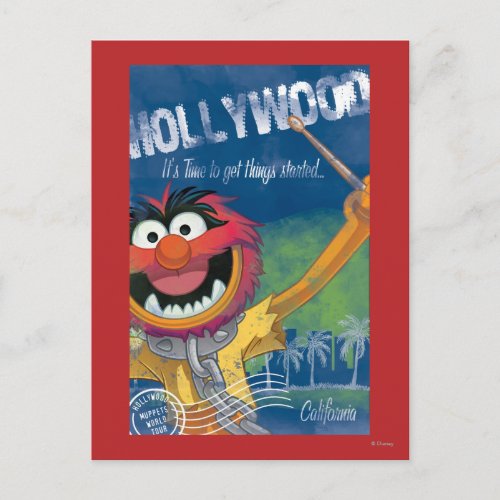 Animal _ Hollywood California Poster Postcard