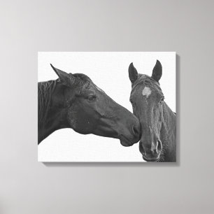 Animal horse equestrian photo black and white canvas print