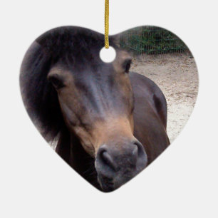 Animal, Horse, Pony Ceramic Ornament