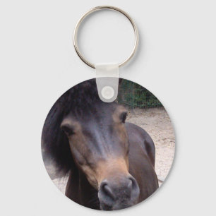 Animal, Horse, Pony Keychain
