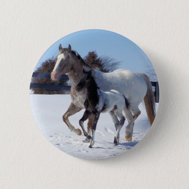 Animal Horses Winter Snow Peace Love Destiny Pinback Button (Front)