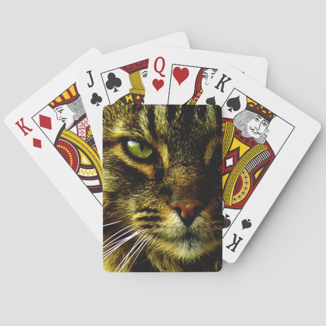 Animal Hypnotizing Cat Eye Photo Poker Cards (Back)