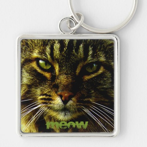 Animal Hypnotizing Cat Eyes Photo Keychain