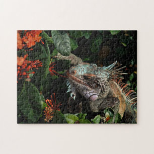 Animal Iguana Exotic Reptile Pet Lizard USVI Jigsaw Puzzle