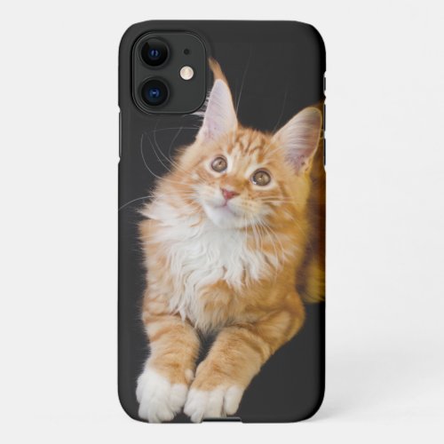 animal iPhone Skin  Cover iPhone Case