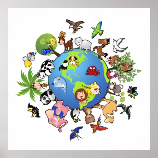 Animal Kingdom: Animals Around the World Poster | Zazzle