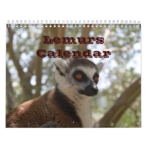 Animal Lemur Cute Nature Zoo Custom Destiny Calendar