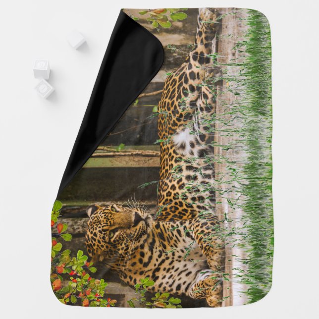 Animal Leopard Cat (39" X 29") Baby Blanket (In Situ)