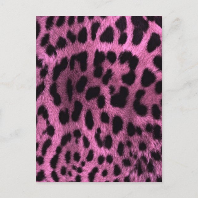 Animal leopard print - pink postcard (Front)