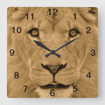 Animal Lion Face Wall Clock by 16creative at Zazzle