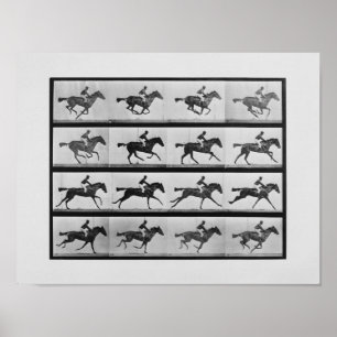 Animal Locomotion - 16 Frames of Racehorse Annie G Poster