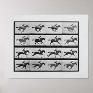 Animal Locomotion - 16 Frames of Racehorse Annie G Poster