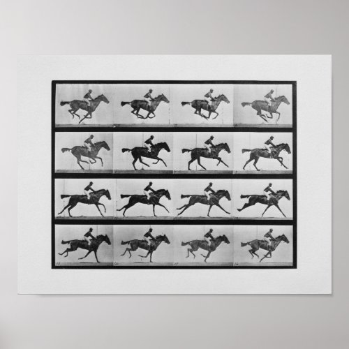Animal Locomotion _ 16 Frames of Racehorse Annie G Poster