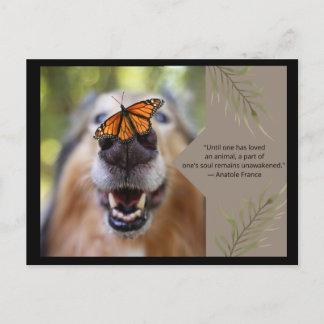 Animal Love -Dog Postcard