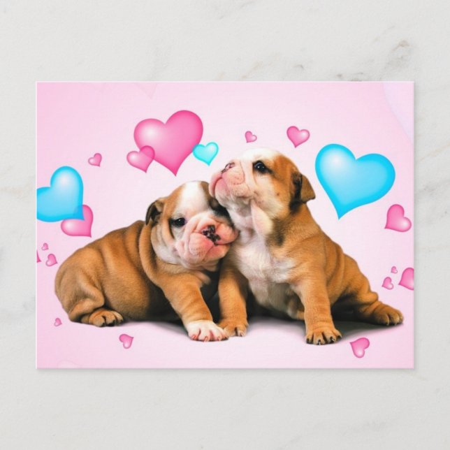 Animal Love Postcard (Front)