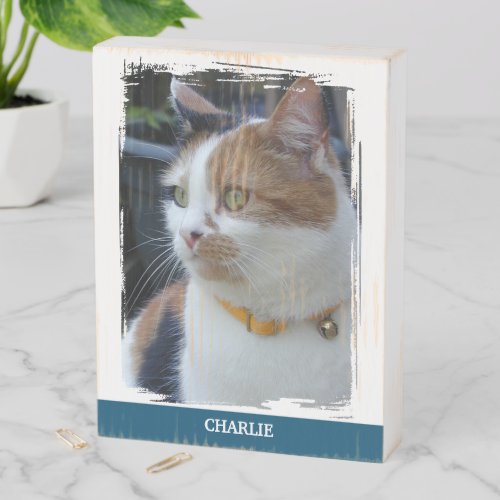 Animal lover add name blue cat photo rustic wooden box sign