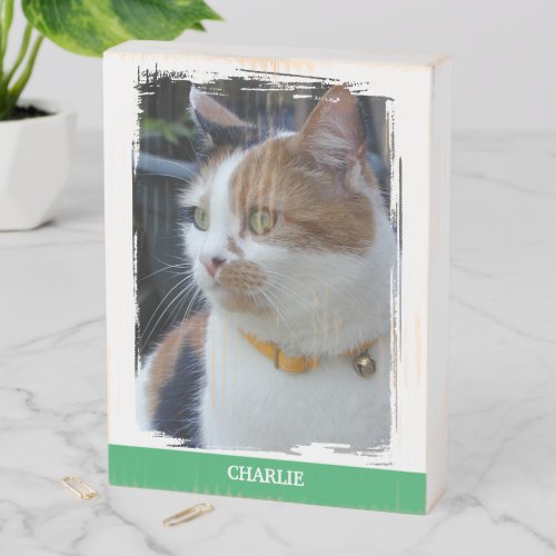Animal lover add name green cat photo rustic wooden box sign