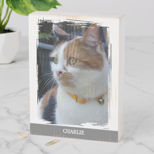 Animal lover add name grey cat photo rustic wooden box sign