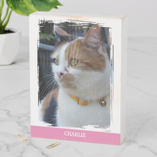 Animal lover add name pink cat photo rustic wooden box sign